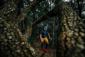 BIB: 
                            <button type="button" onclick="openModal(25672982)" class="btn btn-primary btn-sm float-right btn-popup" data-toggle="modal" data-target=".modal-high-quality">
                        <i class="fas fa-shopping-cart"></i> Add to Cart
                    </button>
                                            <button type="button" onclick="isThisMe(25672982, true)" class="btn btn-success btn-sm float-right btn-popup btn-isme hidden" data-toggle="tooltip" data-placement="bottom" title="นี่คือรูปของคุณใช่ไหม คลิกที่นี่เพื่อเอาเข้าอัลบั้ม">
                        <i class="fas fa-plus"></i> Add to album
                    </button>
                    <button type="button" onclick="isThisMe(25672982, false)" class="btn btn-warning btn-sm float-right btn-popup btn-isnotme hidden">
                        <i class="fas fa-ban"></i> Remove from album
                    </button>